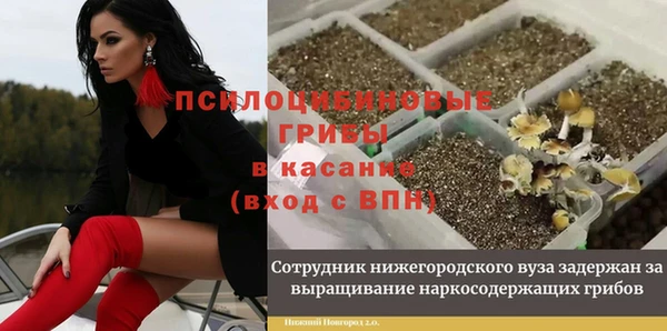 гашик Балабаново